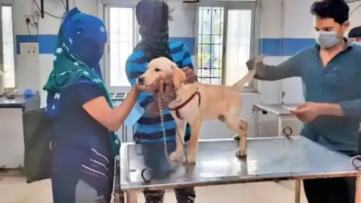MP Exotic Dogs Cats Given Discount After Showing BPL Card at